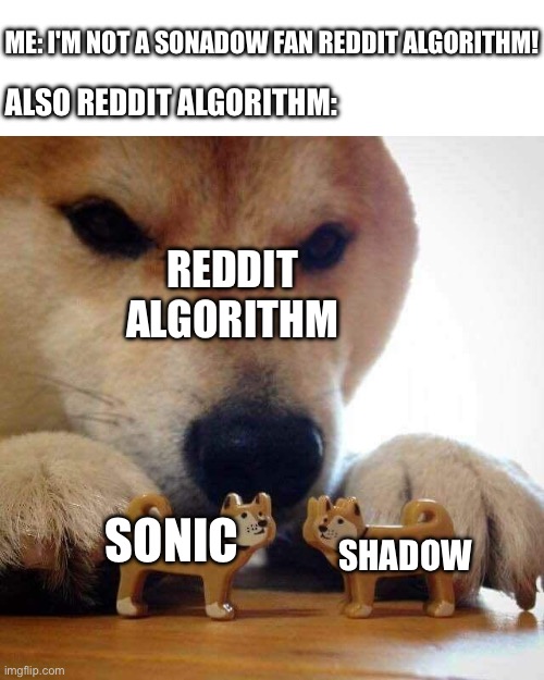 Sigh | ME: I'M NOT A SONADOW FAN REDDIT ALGORITHM! ALSO REDDIT ALGORITHM:; REDDIT ALGORITHM; SONIC; SHADOW | image tagged in dog now kiss | made w/ Imgflip meme maker