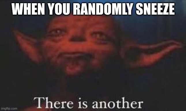 yoda there is another | WHEN YOU RANDOMLY SNEEZE | image tagged in yoda there is another | made w/ Imgflip meme maker