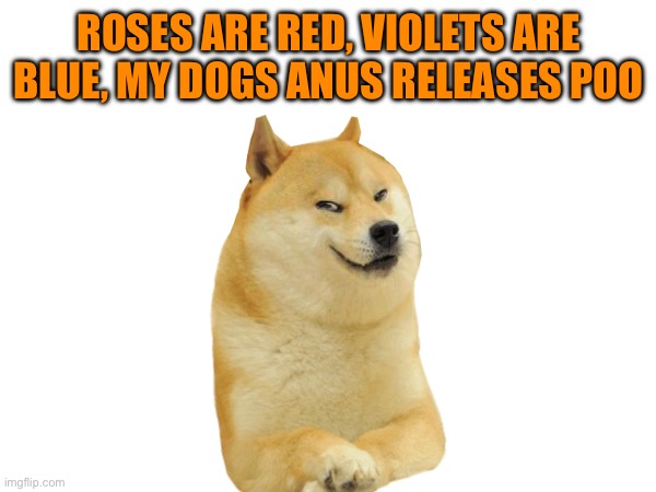 ROSES ARE RED, VIOLETS ARE BLUE, MY DOGS ANUS RELEASES POO | image tagged in doge,wisdom,memes,funny memes,dank memes,dark | made w/ Imgflip meme maker