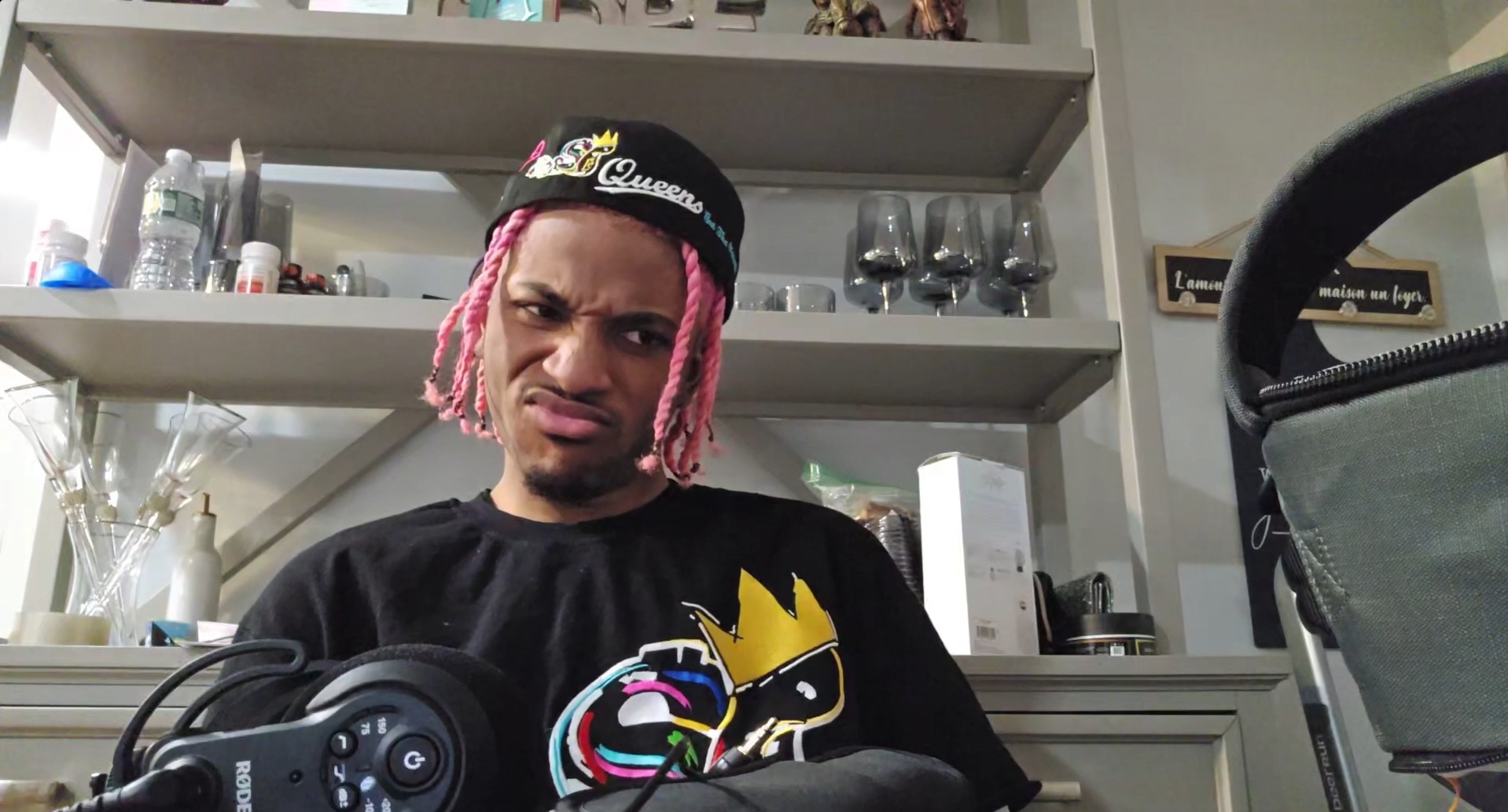 D Lou Pink Dreads Blank Meme Template