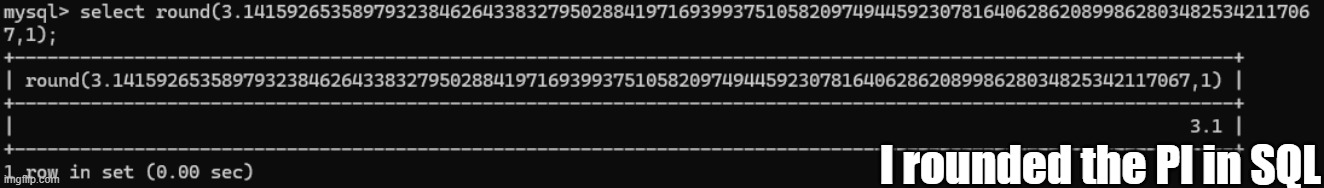 I rounded the 100-digit PI in SQL! | I rounded the PI in SQL | image tagged in sql,programming,memes,computer nerd | made w/ Imgflip meme maker