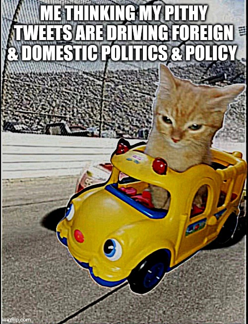 Cat in a toy sports car | ME THINKING MY PITHY TWEETS ARE DRIVING FOREIGN & DOMESTIC POLITICS & POLICY | image tagged in cat in a toy sports car | made w/ Imgflip meme maker