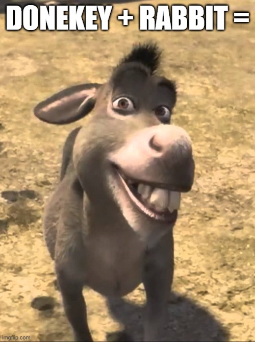 Shrek Donkey Please Boss | DONEKEY + RABBIT = | image tagged in shrek donkey please boss | made w/ Imgflip meme maker