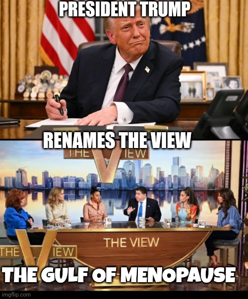 The View memes | PRESIDENT TRUMP; RENAMES THE VIEW; THE GULF OF MENOPAUSE | image tagged in the view | made w/ Imgflip meme maker