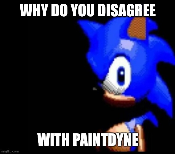 Sonic stares | WHY DO YOU DISAGREE WITH PAINTDYNE | image tagged in sonic stares | made w/ Imgflip meme maker