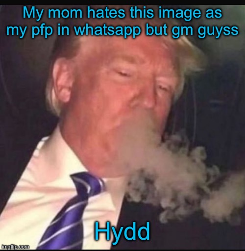 My mom hates this image as my pfp in whatsapp but gm guyss; Hydd | made w/ Imgflip meme maker