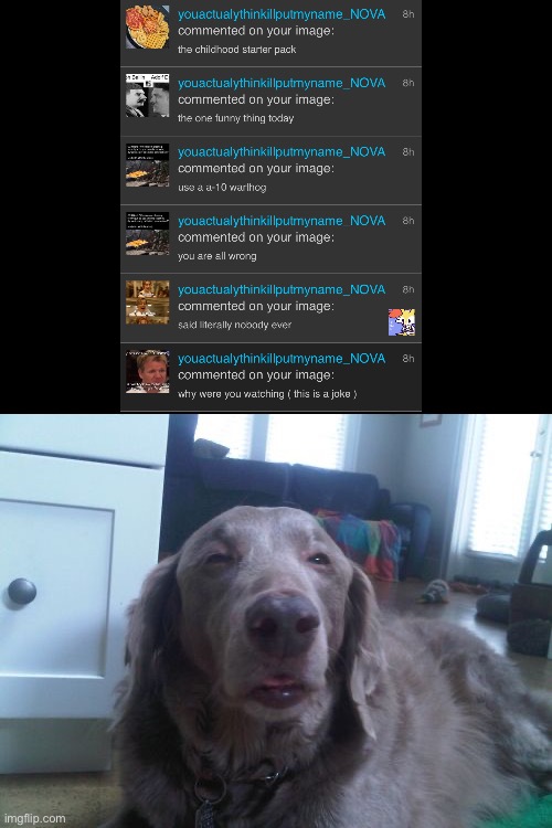 Woke up to 8 notifs of this mf | image tagged in memes,high dog | made w/ Imgflip meme maker