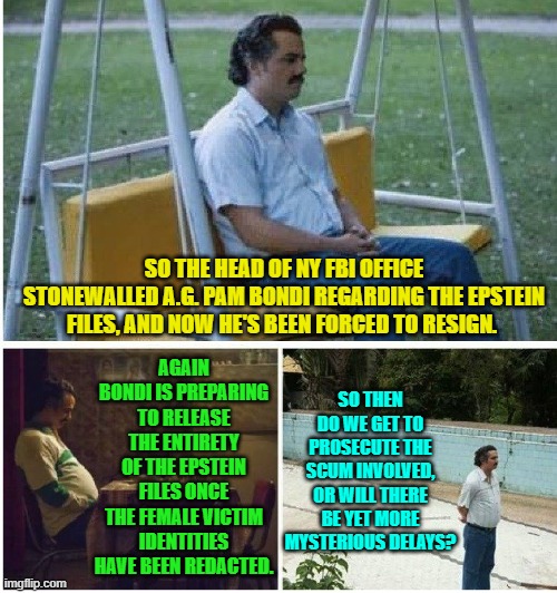 At this point there had better, finally, be some heads rolling. | SO THE HEAD OF NY FBI OFFICE STONEWALLED A.G. PAM BONDI REGARDING THE EPSTEIN FILES, AND NOW HE'S BEEN FORCED TO RESIGN. AGAIN BONDI IS PREPARING TO RELEASE THE ENTIRETY OF THE EPSTEIN FILES ONCE THE FEMALE VICTIM IDENTITIES HAVE BEEN REDACTED. SO THEN DO WE GET TO PROSECUTE THE SCUM INVOLVED, OR WILL THERE BE YET MORE MYSTERIOUS DELAYS? | image tagged in narcos waiting | made w/ Imgflip meme maker