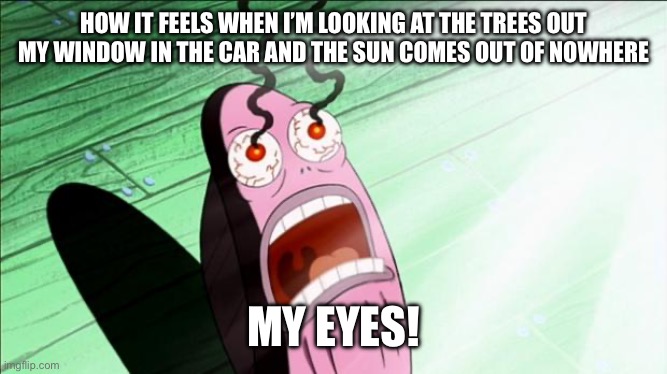 Frfr | HOW IT FEELS WHEN I’M LOOKING AT THE TREES OUT MY WINDOW IN THE CAR AND THE SUN COMES OUT OF NOWHERE; MY EYES! | image tagged in spongebob my eyes,memes,meme,fun,funny | made w/ Imgflip meme maker