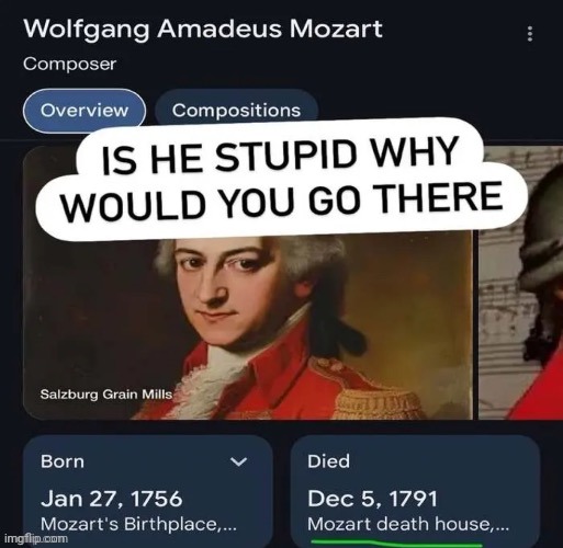 How stupid is he | image tagged in memes,shitpost,mozart | made w/ Imgflip meme maker