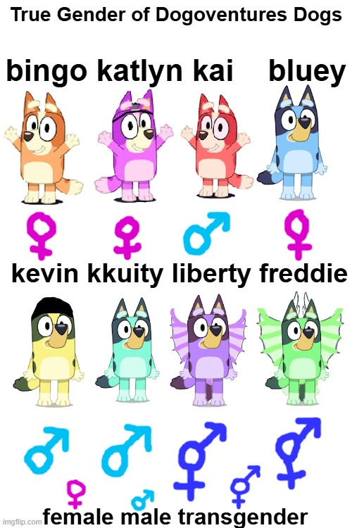 if you've been wondering why liberty and freddie were transgender, it's because they can imitate both girls and boys voices. | True Gender of Dogoventures Dogs; bingo katlyn kai    bluey; kevin kkuity liberty freddie; female male transgender | made w/ Imgflip meme maker