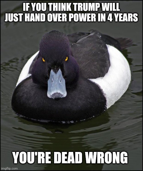 Angry duck | IF YOU THINK TRUMP WILL JUST HAND OVER POWER IN 4 YEARS; YOU'RE DEAD WRONG | image tagged in angry duck | made w/ Imgflip meme maker