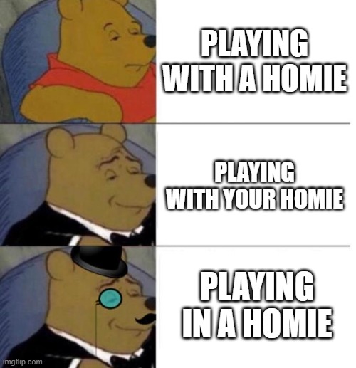 Homie | PLAYING WITH A HOMIE; PLAYING WITH YOUR HOMIE; PLAYING IN A HOMIE | image tagged in tuxedo winnie the pooh 3 panel | made w/ Imgflip meme maker