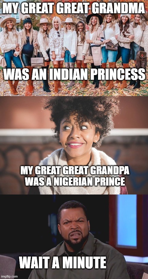 we wuz kangz | MY GREAT GREAT GRANDMA; WAS AN INDIAN PRINCESS; MY GREAT GREAT GRANDPA WAS A NIGERIAN PRINCE; WAIT A MINUTE | image tagged in white girls in fall autumn basic pumpkin spice,black girl,really ice cube | made w/ Imgflip meme maker