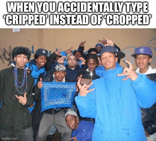 shitpost | WHEN YOU ACCIDENTALLY TYPE ‘CRIPPED’ INSTEAD OF ‘CROPPED’ | image tagged in crips rheumatoid arthritis convention,crip,cropped,cropped po,crypn,shitpost | made w/ Imgflip meme maker