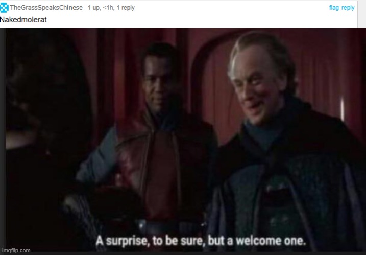 funny username, im gonna use it even though it doesnt have odd in it | image tagged in star wars a surprise to be sure | made w/ Imgflip meme maker