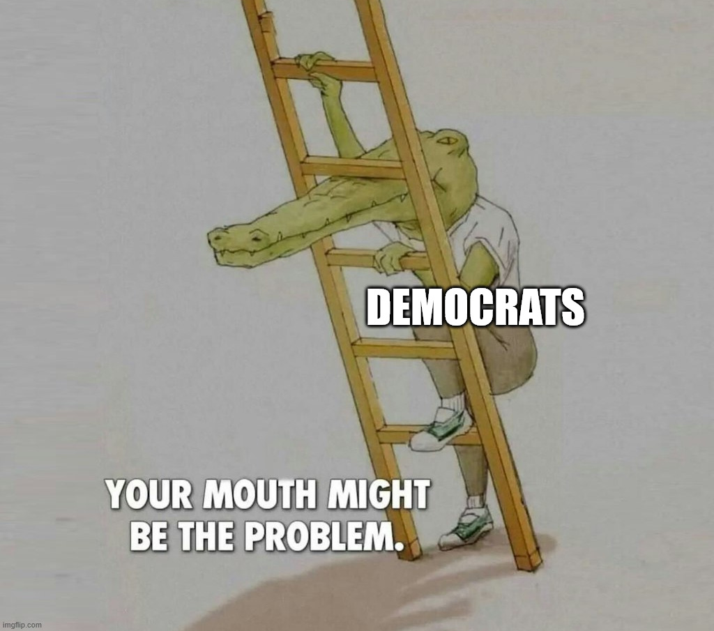 They don't seem to be saying anything useful or helpful | DEMOCRATS | image tagged in mouth | made w/ Imgflip meme maker