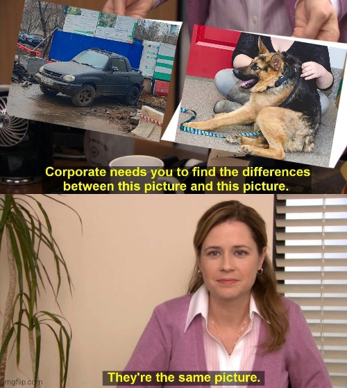 Short car short dog | image tagged in they are the same picture | made w/ Imgflip meme maker