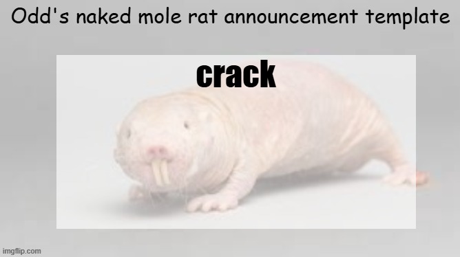 odd | crack | image tagged in odd | made w/ Imgflip meme maker