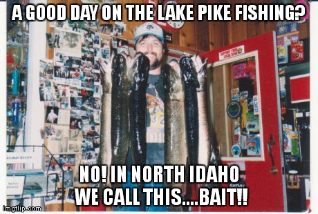 Gearing up to catch the BIG pike, requires proper bait | A GOOD DAY ON THE LAKE PIKE FISHING? NO! IN NORTH IDAHO WE CALL THIS....BAIT!! | image tagged in fishing,fish n game,pike fishing,sports | made w/ Imgflip meme maker