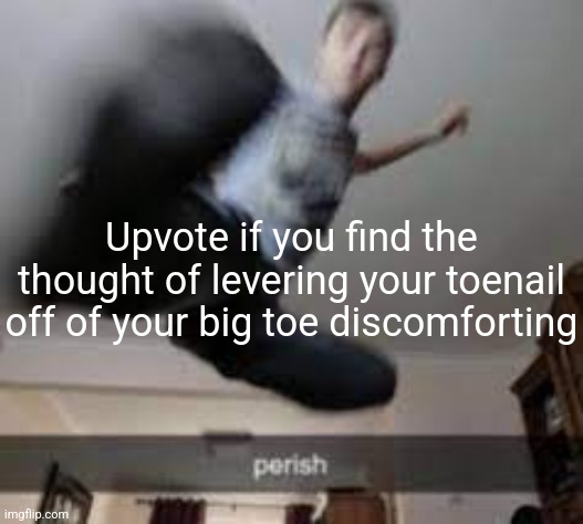 perish kick | Upvote if you find the thought of levering your toenail off of your big toe discomforting | image tagged in perish kick | made w/ Imgflip meme maker