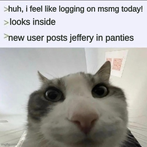 Cat looks inside | huh, i feel like logging on msmg today! looks inside; new user posts jeffery in panties | image tagged in cat looks inside | made w/ Imgflip meme maker