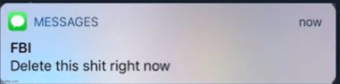 FBI Delete this s*** right now | image tagged in fbi delete this s right now | made w/ Imgflip meme maker