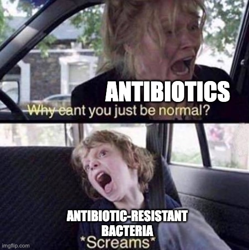 Why Can't You Just Be Normal | ANTIBIOTICS; ANTIBIOTIC-RESISTANT BACTERIA | image tagged in why can't you just be normal | made w/ Imgflip meme maker