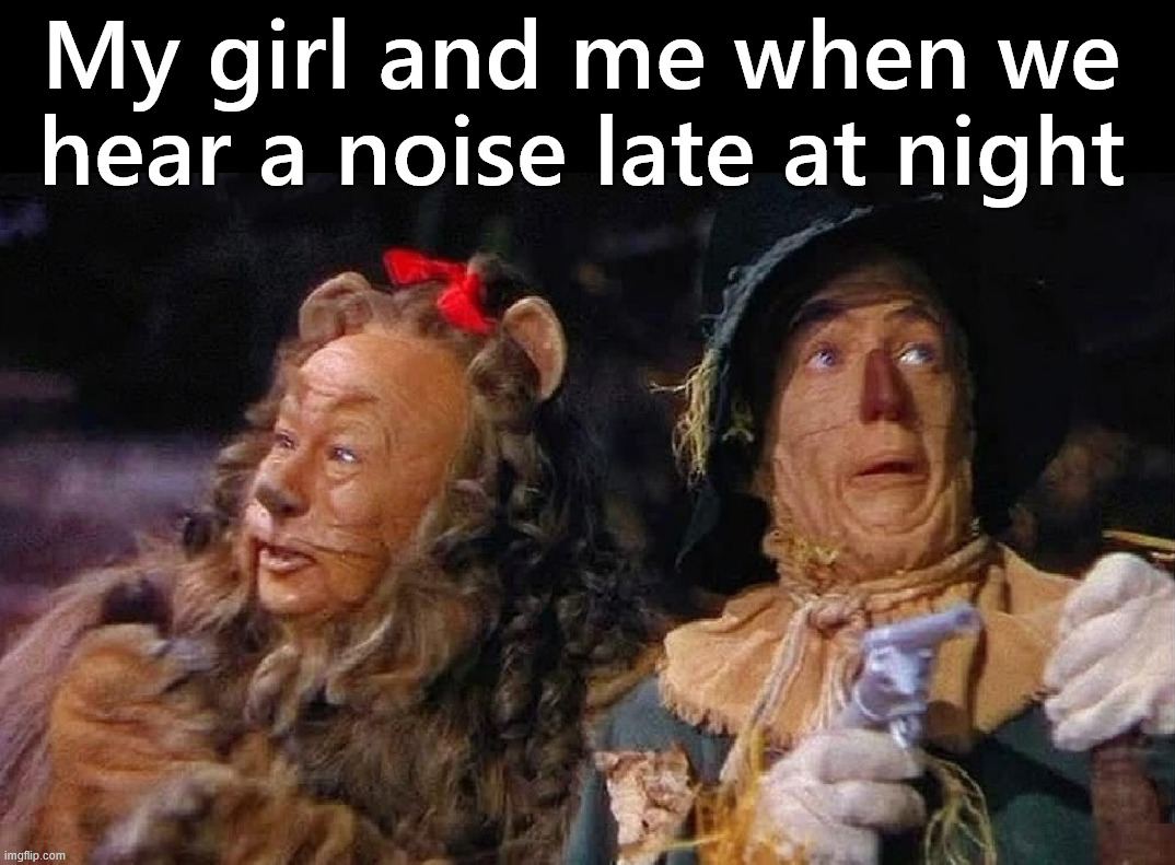 No courage and no brains | My girl and me when we hear a noise late at night | image tagged in sleeping,wake up,criminal,breaking in,noises | made w/ Imgflip meme maker