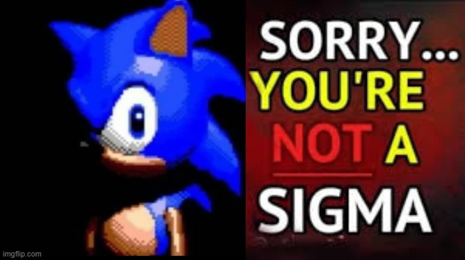 Sorry you're not a sigma (But with Sonic) | image tagged in sonic the hedgehog,sigma | made w/ Imgflip meme maker