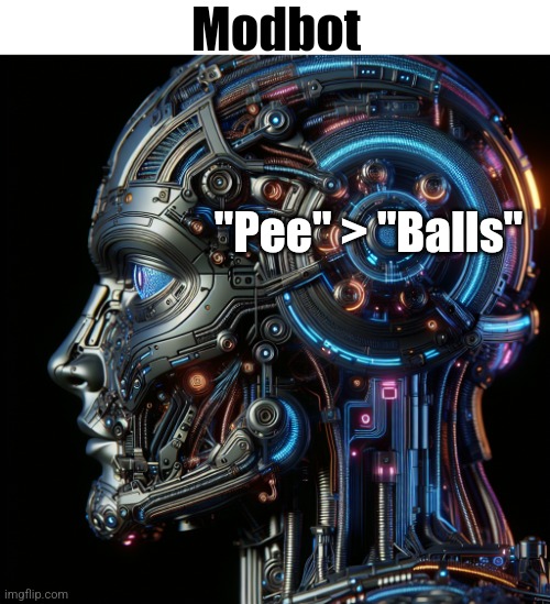 use both in the same sentence | Modbot; "Pee" > "Balls" | made w/ Imgflip meme maker