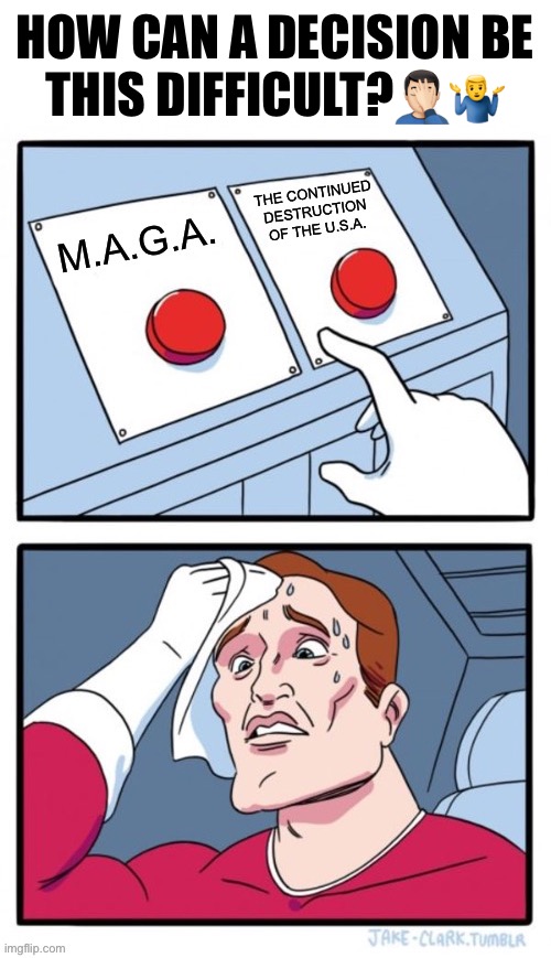 Only if you’re a communist or a globalist… | HOW CAN A DECISION BE THIS DIFFICULT?🤦🏻‍♂️🤷‍♂️ | image tagged in political meme | made w/ Imgflip meme maker