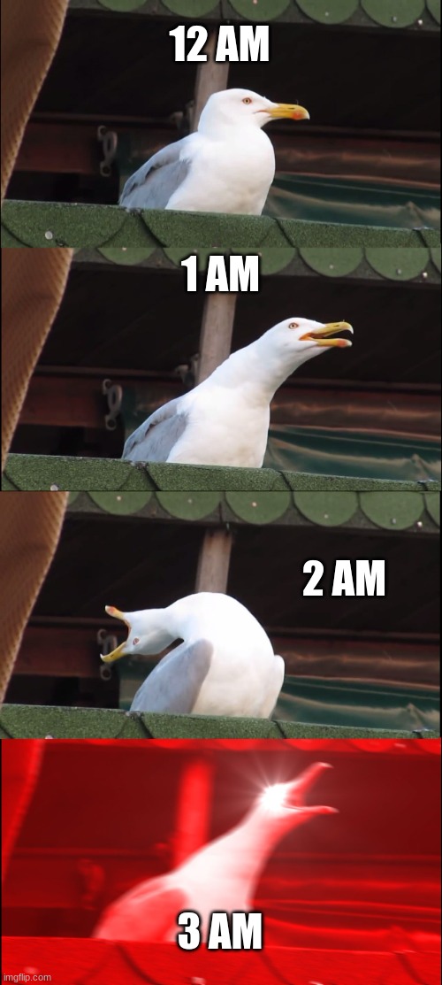 Inhaling Seagull Meme | 12 AM; 1 AM; 2 AM; 3 AM | image tagged in memes,inhaling seagull | made w/ Imgflip meme maker