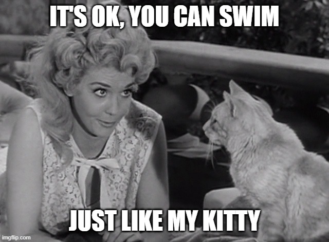 IT'S OK, YOU CAN SWIM JUST LIKE MY KITTY | made w/ Imgflip meme maker