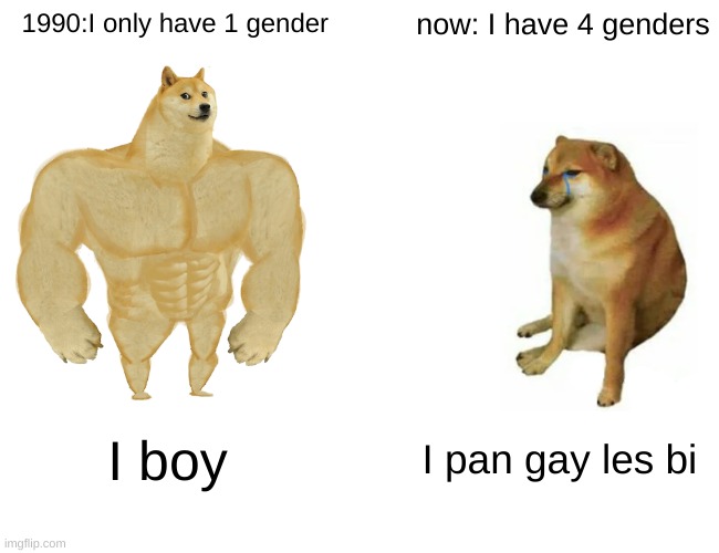 Buff Doge vs. Cheems Meme | 1990:I only have 1 gender; now: I have 4 genders; I boy; I pan gay les bi | image tagged in memes,buff doge vs cheems | made w/ Imgflip meme maker