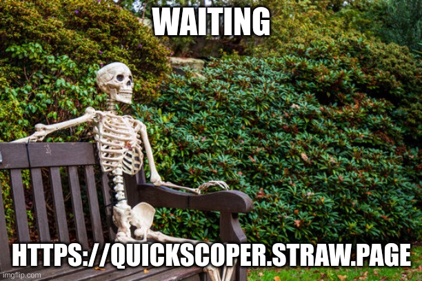 https://quickscoper.straw.page | WAITING; HTTPS://QUICKSCOPER.STRAW.PAGE | image tagged in waiting | made w/ Imgflip meme maker