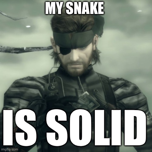 Metal Gear Solid Snake | MY SNAKE; IS SOLID | image tagged in metal gear solid snake | made w/ Imgflip meme maker