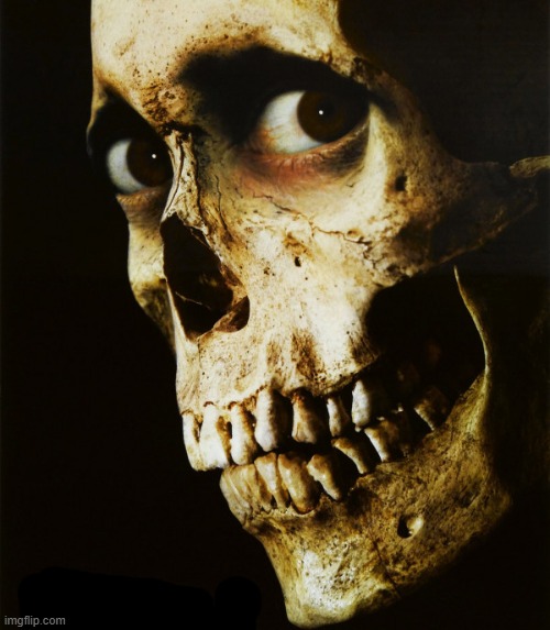 Evil Dead 2 Poster | image tagged in evil dead 2 poster | made w/ Imgflip meme maker