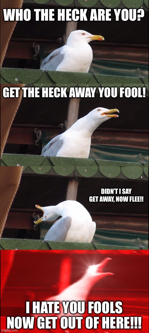 Inhaling Seagull Meme | WHO THE HECK ARE YOU? GET THE HECK AWAY YOU FOOL! DIDN’T I SAY GET AWAY, NOW FLEE!! I HATE YOU FOOLS NOW GET OUT OF HERE!!! | image tagged in memes,inhaling seagull | made w/ Imgflip meme maker