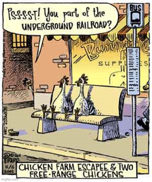 Bizarro Comics | image tagged in comics | made w/ Imgflip meme maker