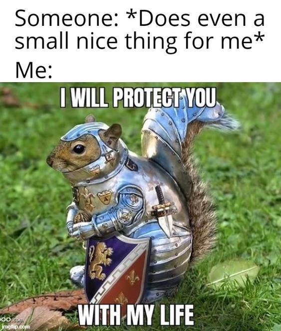 Be nice | image tagged in nice | made w/ Imgflip meme maker