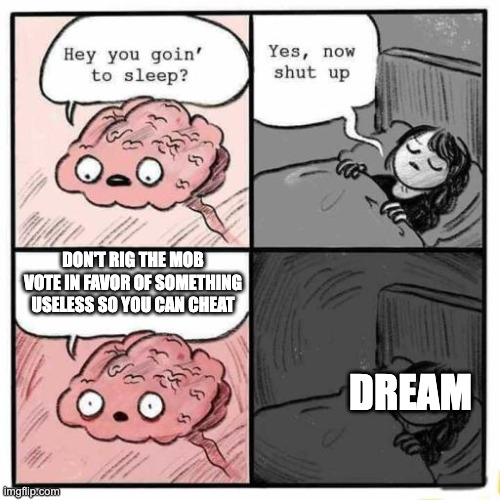 Hey you going to sleep? | DON'T RIG THE MOB VOTE IN FAVOR OF SOMETHING USELESS SO YOU CAN CHEAT; DREAM | image tagged in hey you going to sleep | made w/ Imgflip meme maker