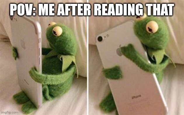 Kermit Hugging Phone | POV: ME AFTER READING THAT | image tagged in kermit hugging phone | made w/ Imgflip meme maker