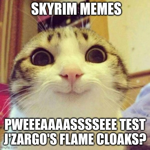 When J'zargo is desprate | SKYRIM MEMES; PWEEEAAAASSSSEEE TEST J'ZARGO'S FLAME CLOAKS? | image tagged in memes,smiling cat | made w/ Imgflip meme maker