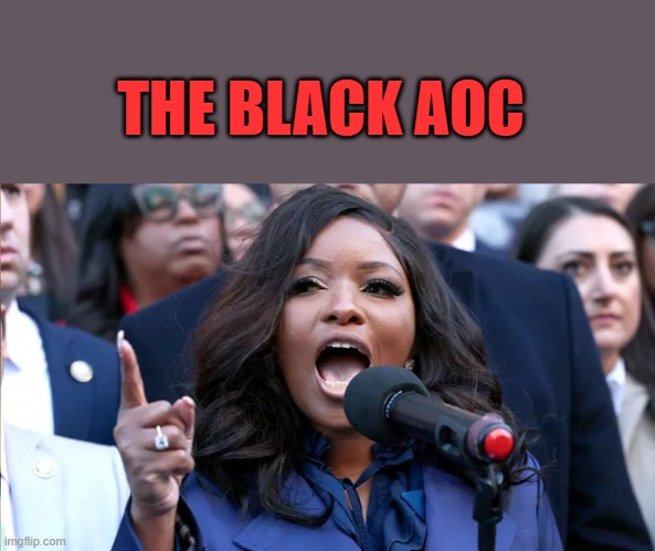 Just as stupid, but does whats shes told to do. Not a thinker.Miss Crocket ..MC if you prefer | THE BLACK AOC | made w/ Imgflip meme maker