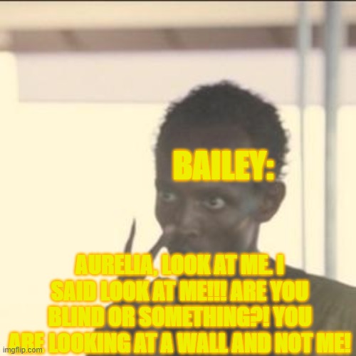 Aurelia is officially blind XD | BAILEY:; AURELIA, LOOK AT ME. I SAID LOOK AT ME!!! ARE YOU BLIND OR SOMETHING?! YOU ARE LOOKING AT A WALL AND NOT ME! | image tagged in memes,look at me | made w/ Imgflip meme maker