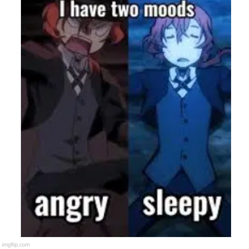fr | image tagged in bsd | made w/ Imgflip meme maker