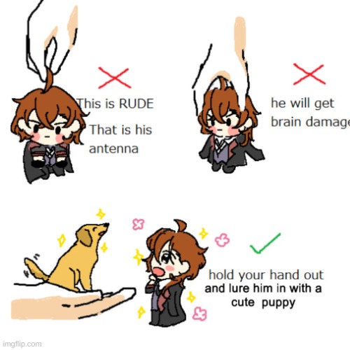 dogs are my weakness too | image tagged in bsd | made w/ Imgflip meme maker