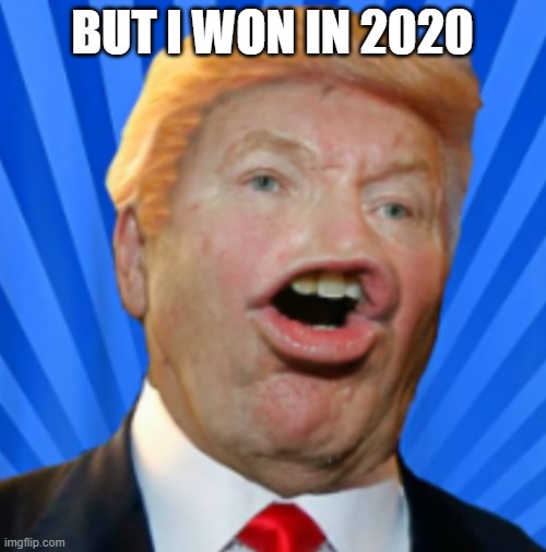 Pathetic Don | BUT I WON IN 2020 | image tagged in pathetic don | made w/ Imgflip meme maker