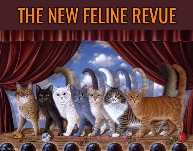 Come and see our show! | THE NEW FELINE REVUE | made w/ Imgflip meme maker